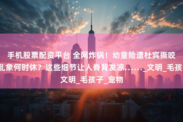 手机股票配资平台 全网炸锅！幼童险遭杜宾撕咬，养宠乱象何时休？这些细节让人脊背发凉……_文明_毛孩子_宠物