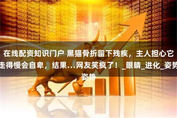 在线配资知识门户 黑猫骨折留下残疾，主人担心它走得慢会自卑，结果…网友笑疯了！_眼睛_进化_姿势