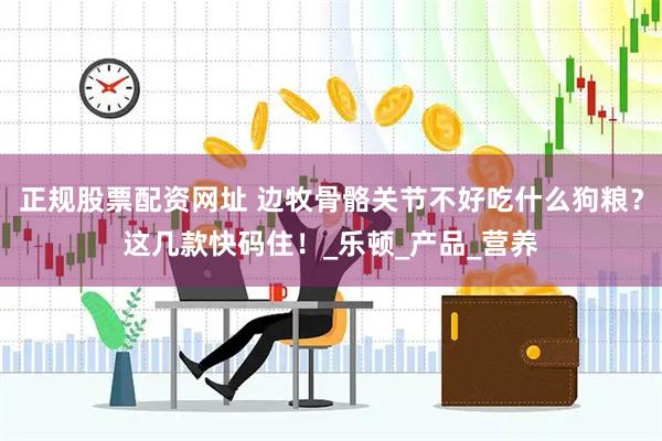 正规股票配资网址 边牧骨骼关节不好吃什么狗粮？这几款快码住！_乐顿_产品_营养