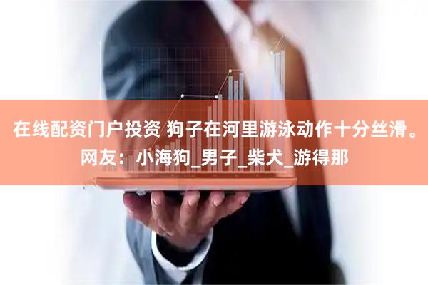 在线配资门户投资 狗子在河里游泳动作十分丝滑。网友：小海狗_男子_柴犬_游得那